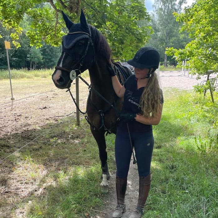 Media 1 av Grison VD Tojope Hoeve Z