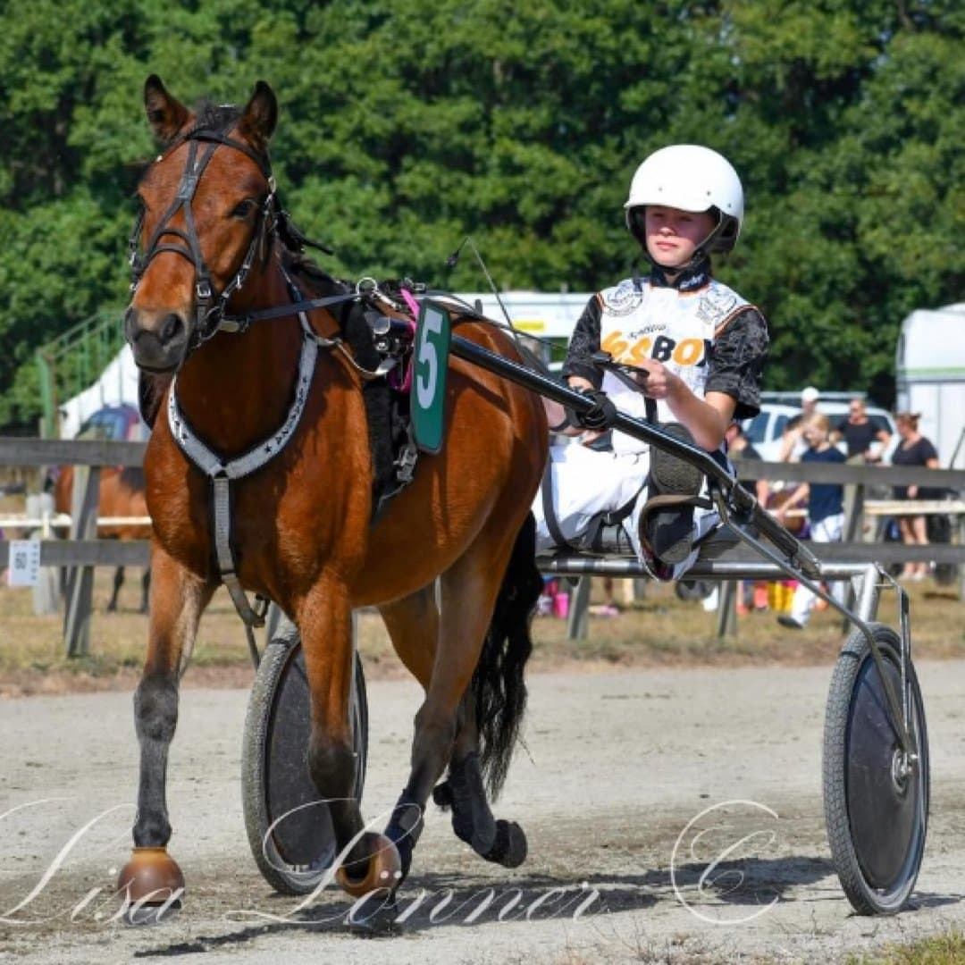 Bild 1 av Bonanza