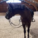 Profilbild av Virdarnas koca light