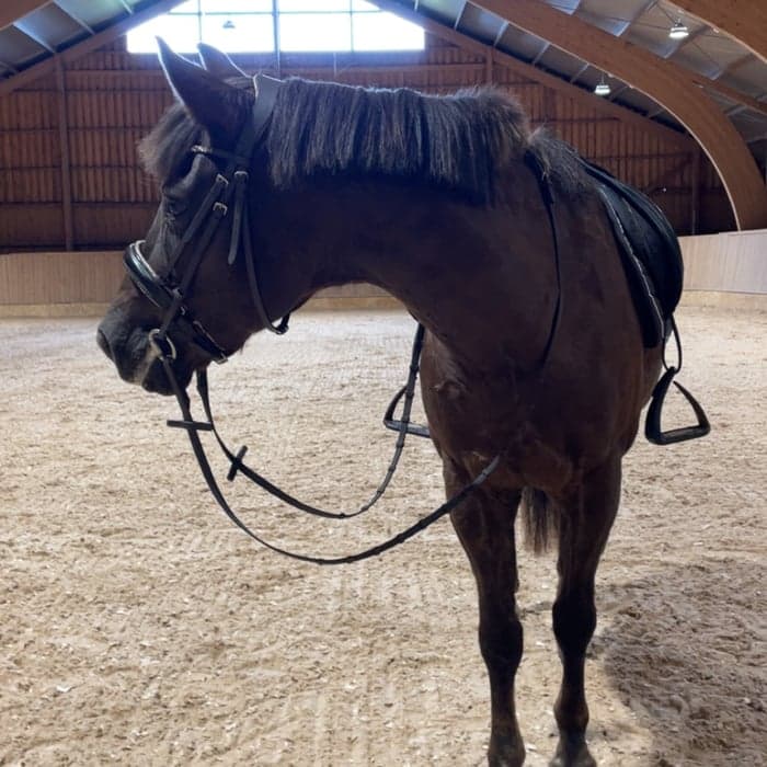 Media 1 av Virdarnas koca light