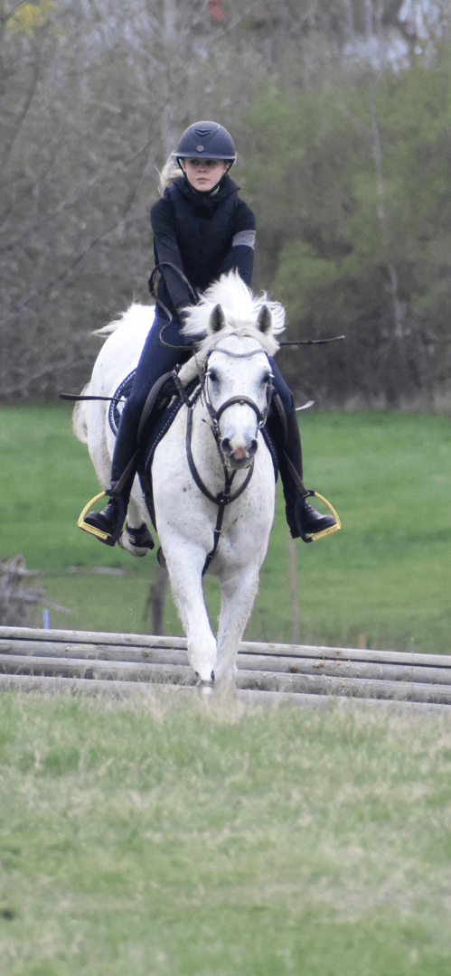 Image 1 of Yankie Doodle