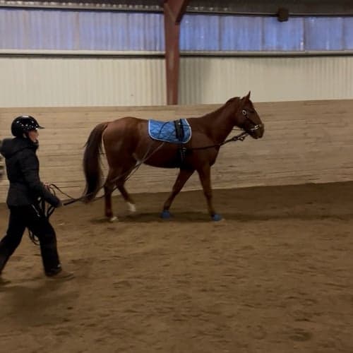 Profilbild av Ella Dristig