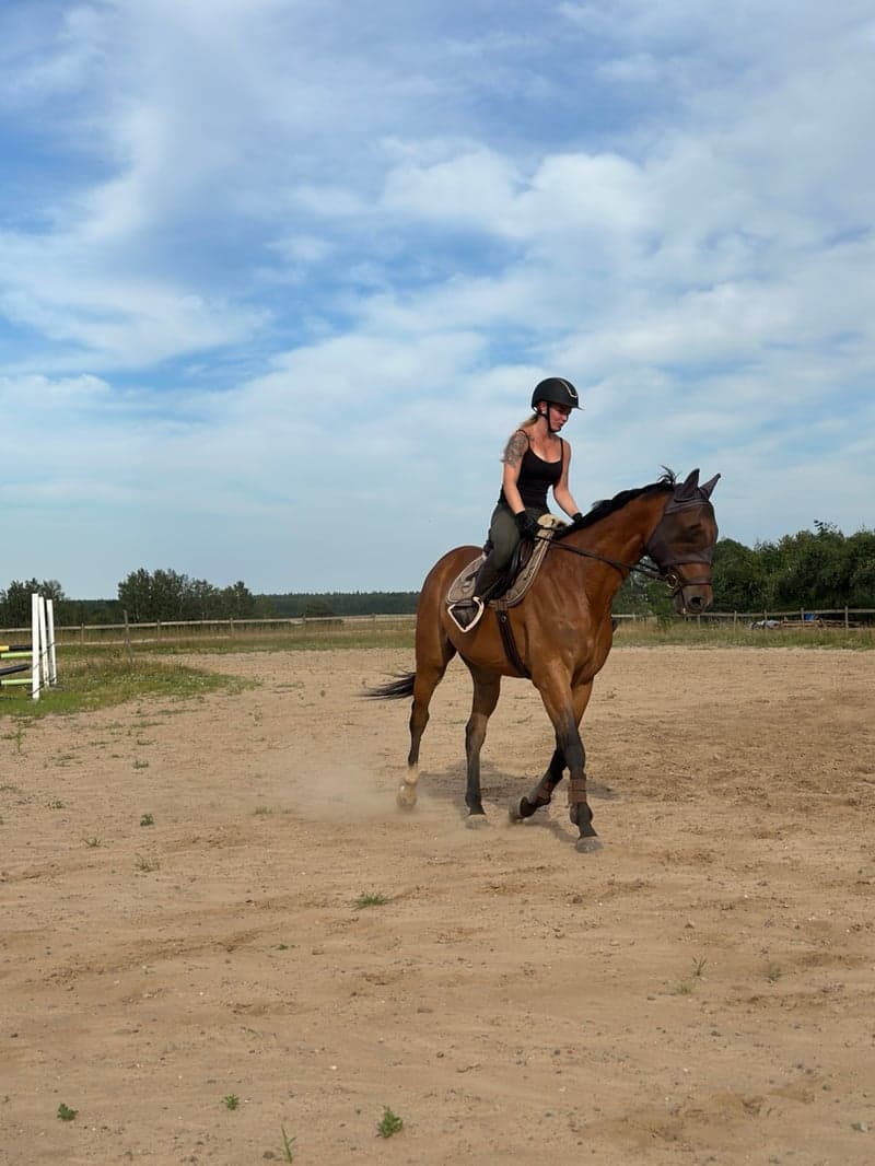 Bild 3 av Trevlig, snäll valack 