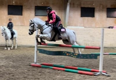 Inlägg 81 av Allround med titeln 2/3-23