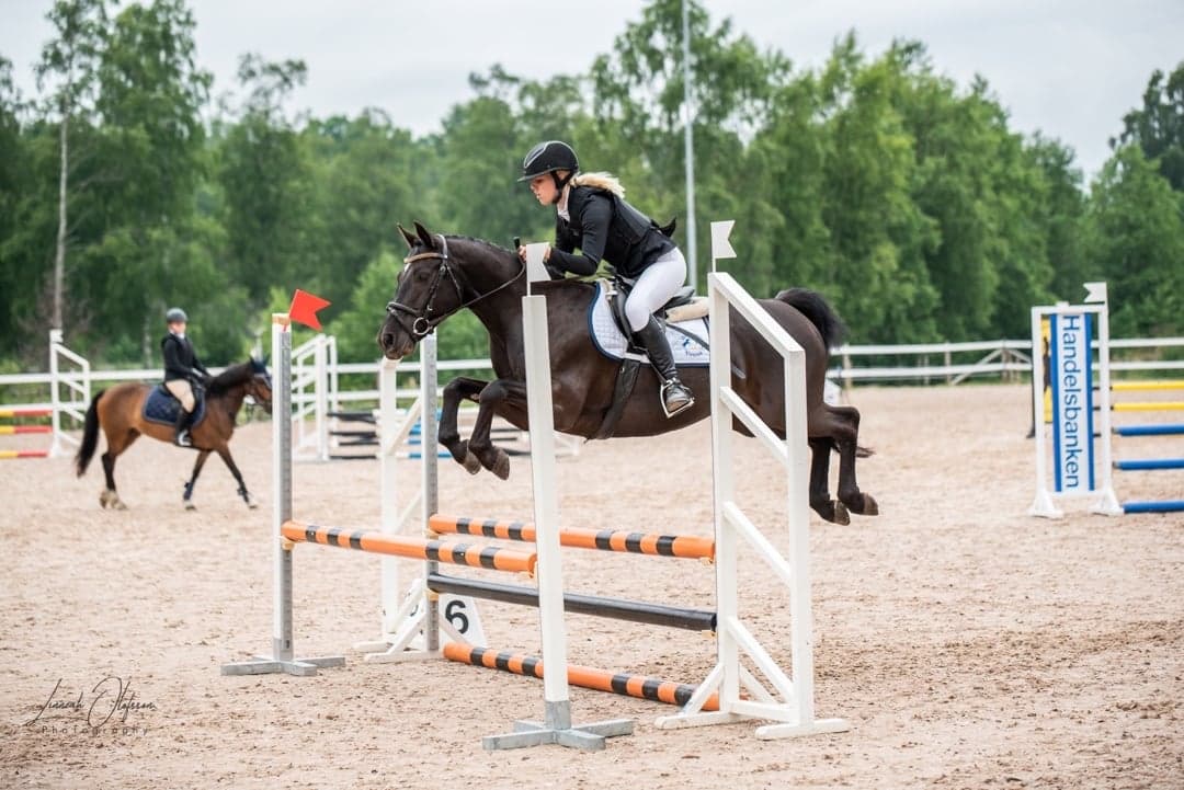 Image 1 of Brian Laburnums Briar