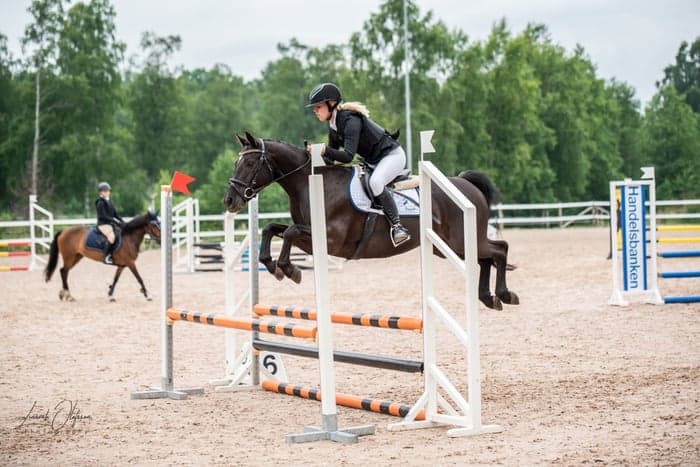 Media 1 of Brian Laburnums Briar