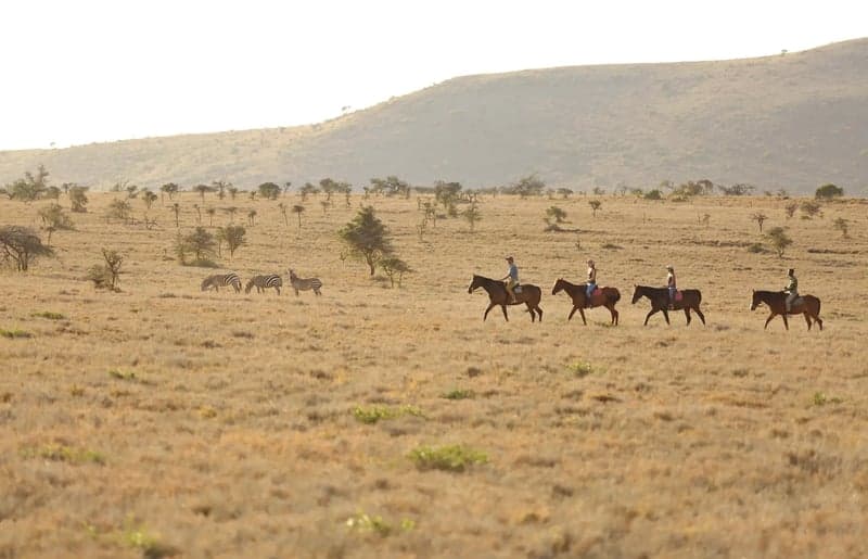 Bild 3 av Ridning & Safari i Kenya – Upplev Lewa Wildlife Conservancy