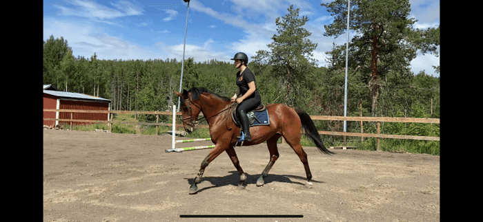 Media 1 av Syvagergaards Titti