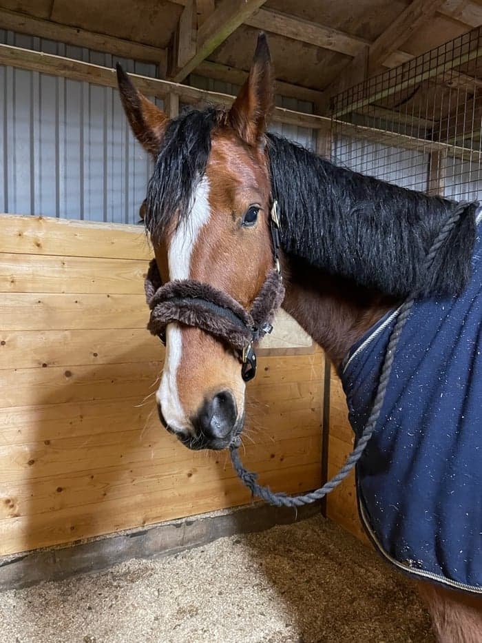 Media 1 av Variolite Face