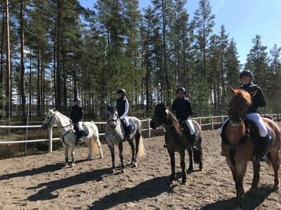 Inlägg 12 av Showridning med titeln Första tävlingen tillsammans⚡️⚡️