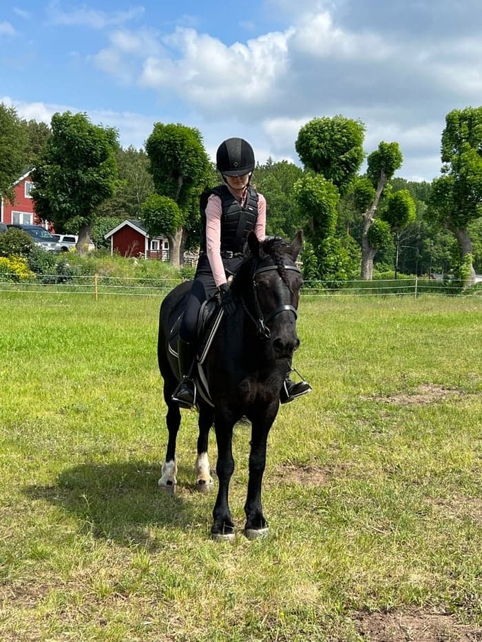 Media 1 of Mrs marsbar