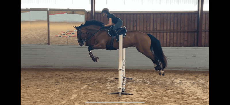 Bild 2 av Lyxig läromästare! 🌟