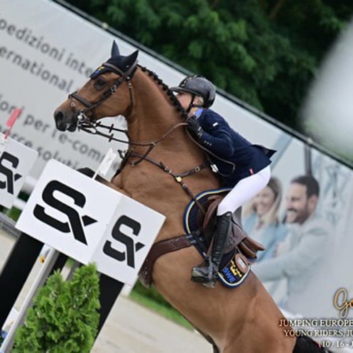 Media 1 of Tiger Rose