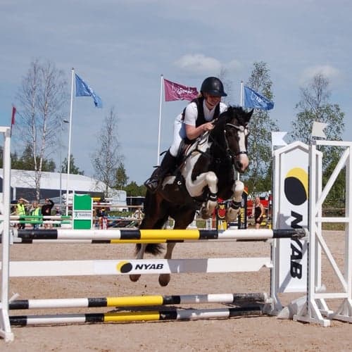 Profilbild av Ingrid Möller