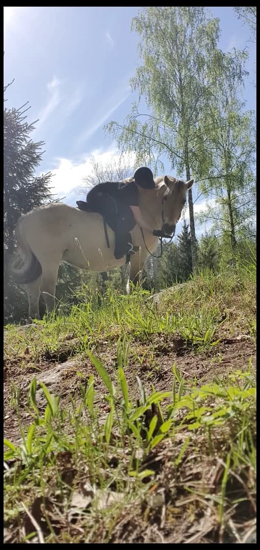 Media 1 of Yrja