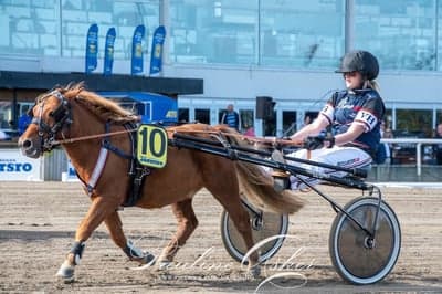 Inlägg 74 av Trav med titeln Derbyt 2022