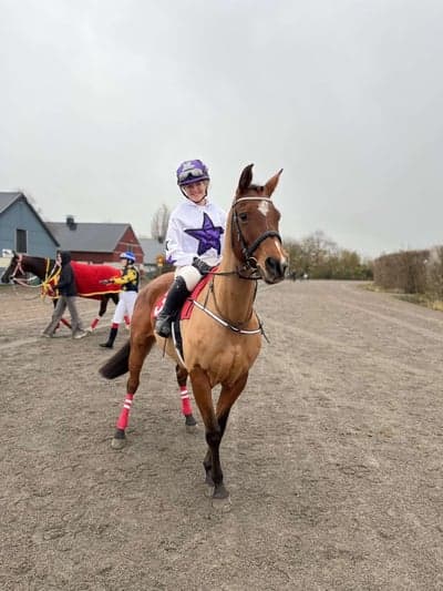 Inlägg 3 av Angloarab med titeln Ponnygalopptävling