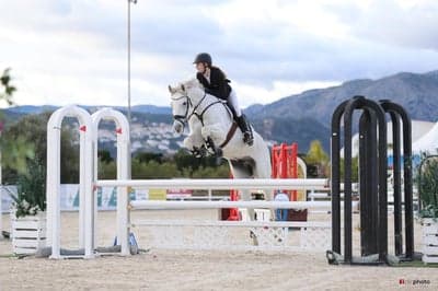 Inlägg 108 av Allround