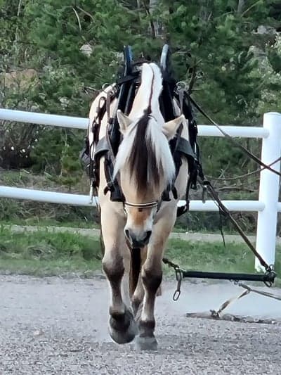 Inlägg 30 av Allround