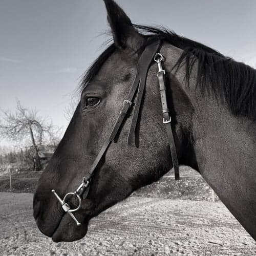 Profilbild av Moa Ragnarsson