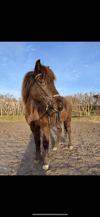 Vanadís från Frosta-Lund