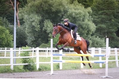 Inlägg 103 av Allround