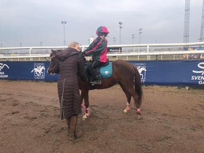 Inlägg 43 av Galopp med titeln Ponnygalopp