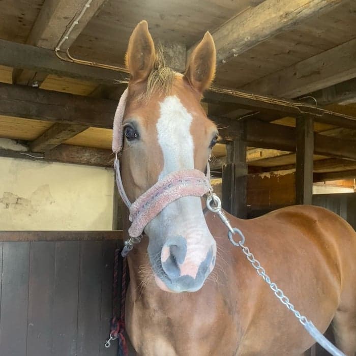 Media 1 av Clock Amok