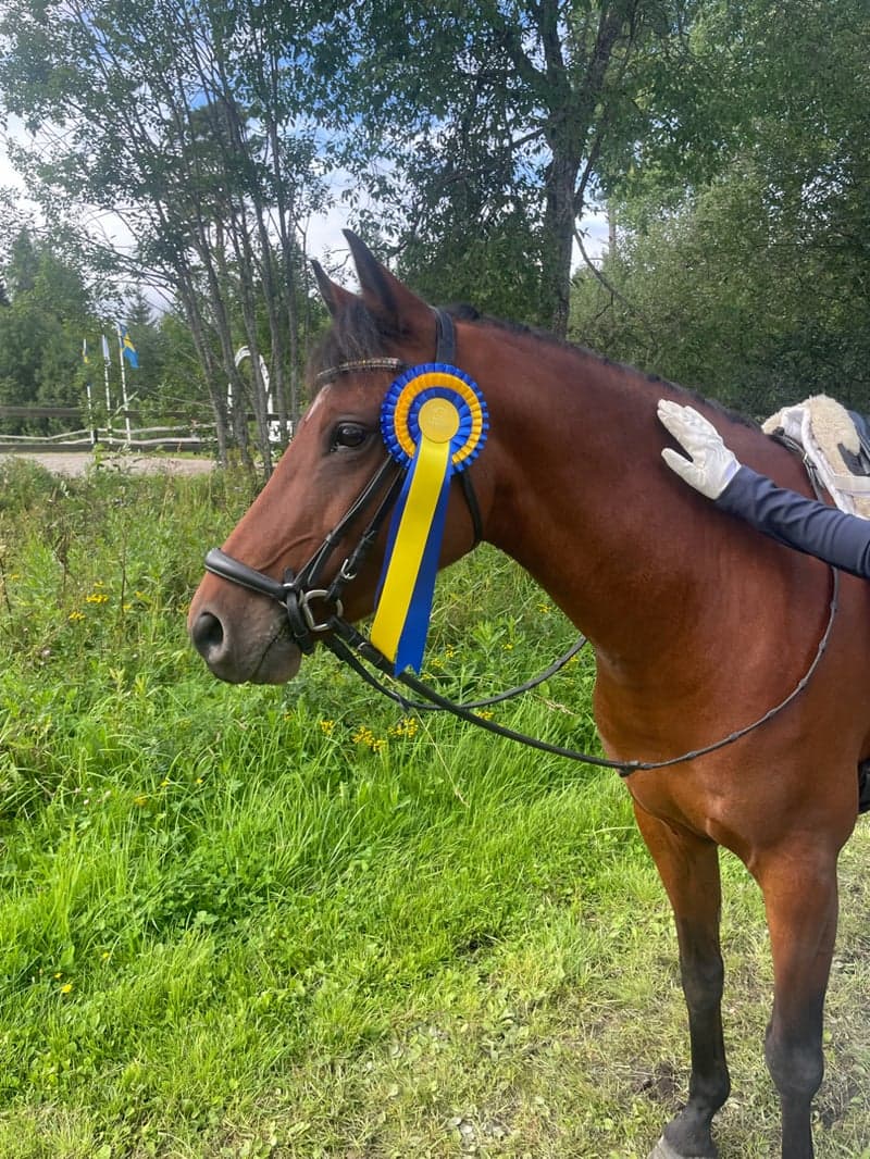 Bild 2 av Ragnarps Minerva