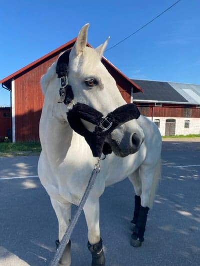 Inlägg 126 av Allround