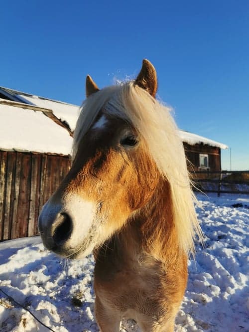 Bild av Trevlig kille 