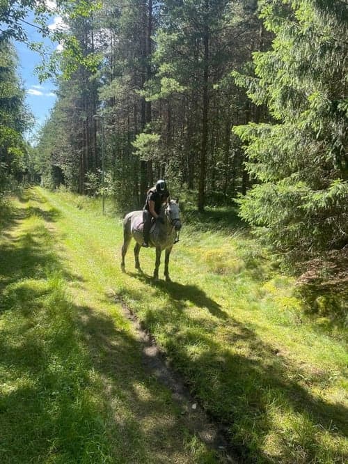 Bild av Maxad D-ponny