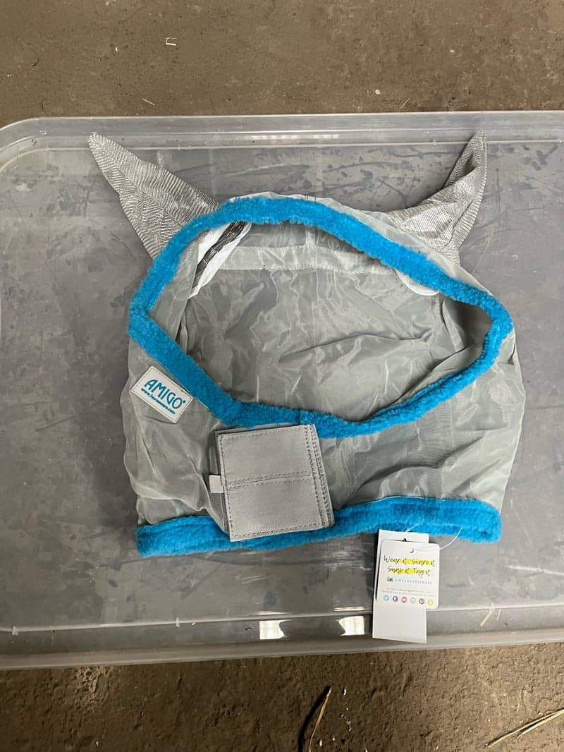 Bild 2 av Blå flughuva