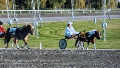 Tillbakablick 