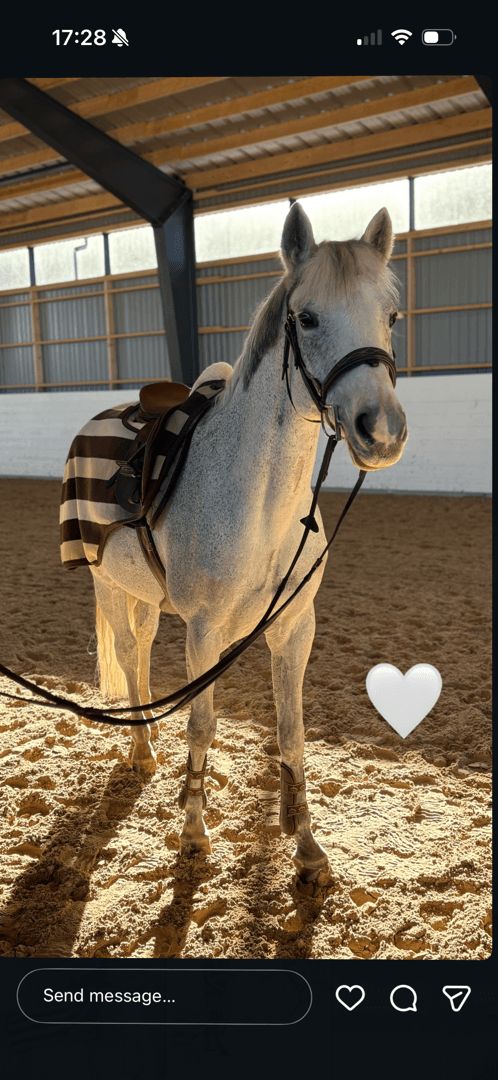 Media 4 av Miss Baju KG