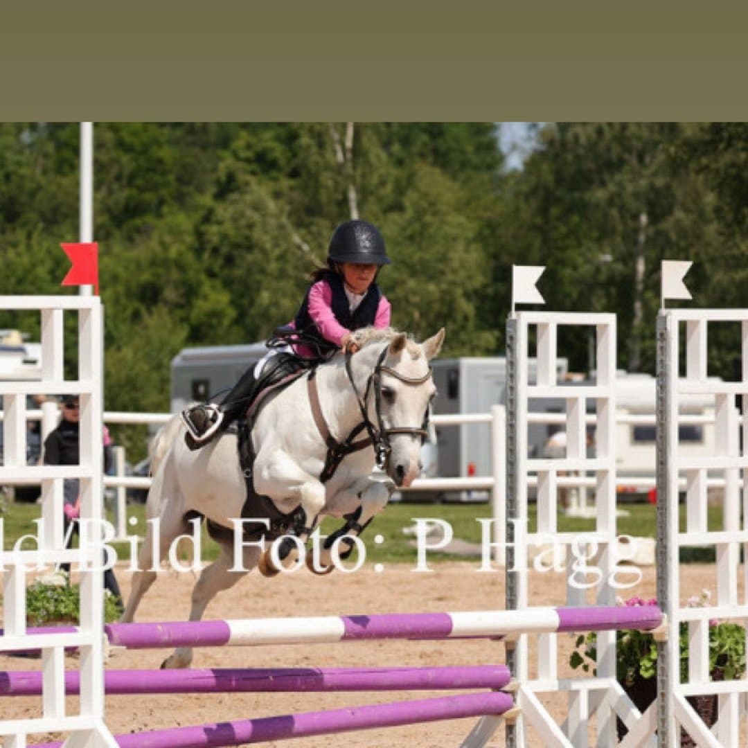 Image 1 of Timmy too too