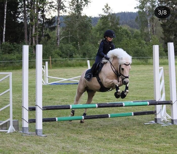 Media 1 of Bjäraryds Julius