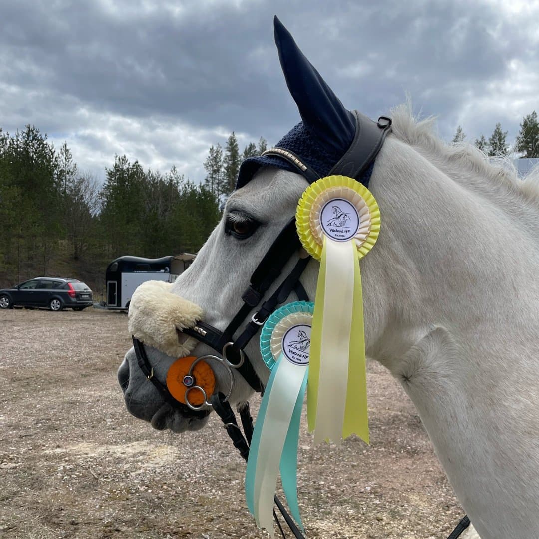 Bild 1 av Casino Royal