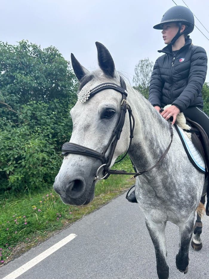 Media 2 of Gryets Sasha