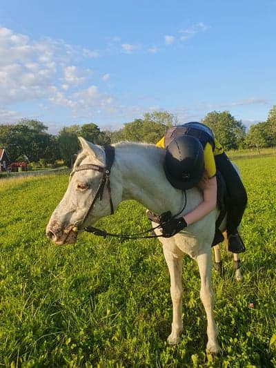 Inlägg 135 av Allround