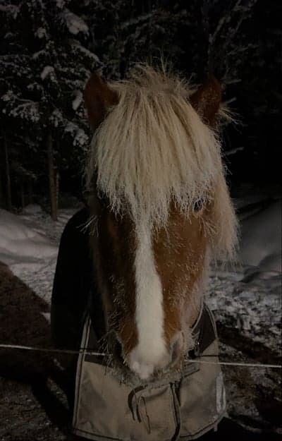 Inlägg 51 av Allround