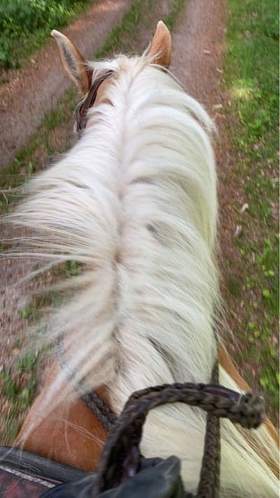 Inlägg 14 av Hunting