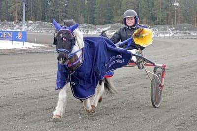 Inlägg 97 av Trav med titeln Ponnytrav 