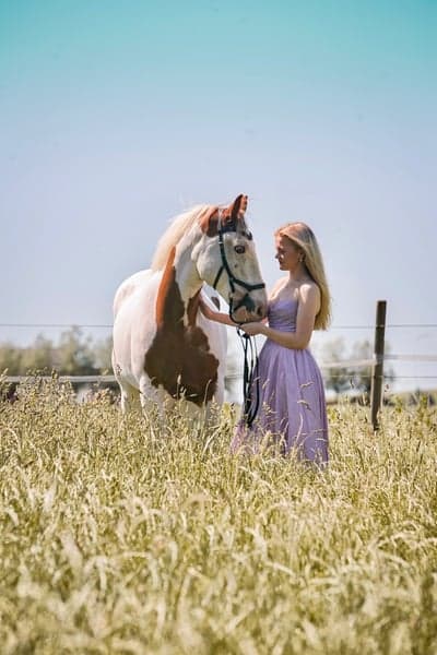 Inlägg 21 av Irish Cob med titeln Fotografering 