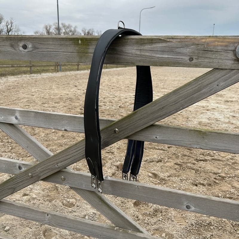 Bild 2 av Svart sadelgjord