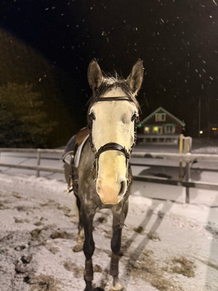 Media 7 of Piri Piri