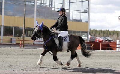 Inlägg 21 av Monté med titeln Monte