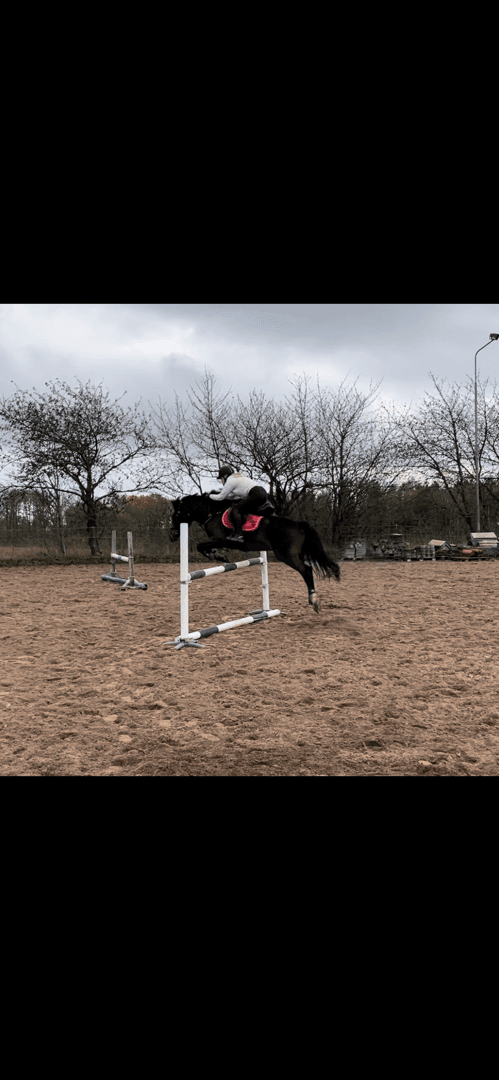 Media 1 of Wild Power "Wille"