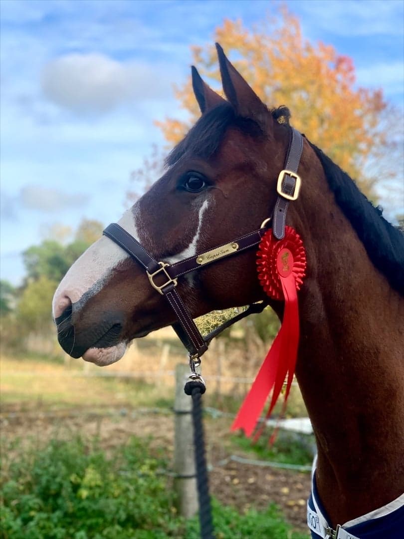 Image 1 of Capri Sun (SWB)