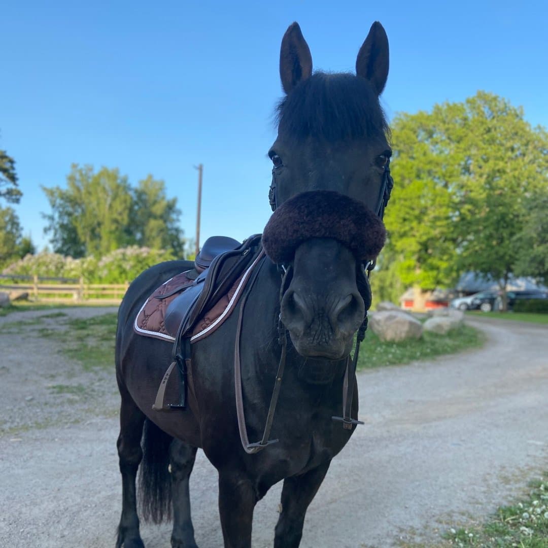 Image 1 of Keenos All Black